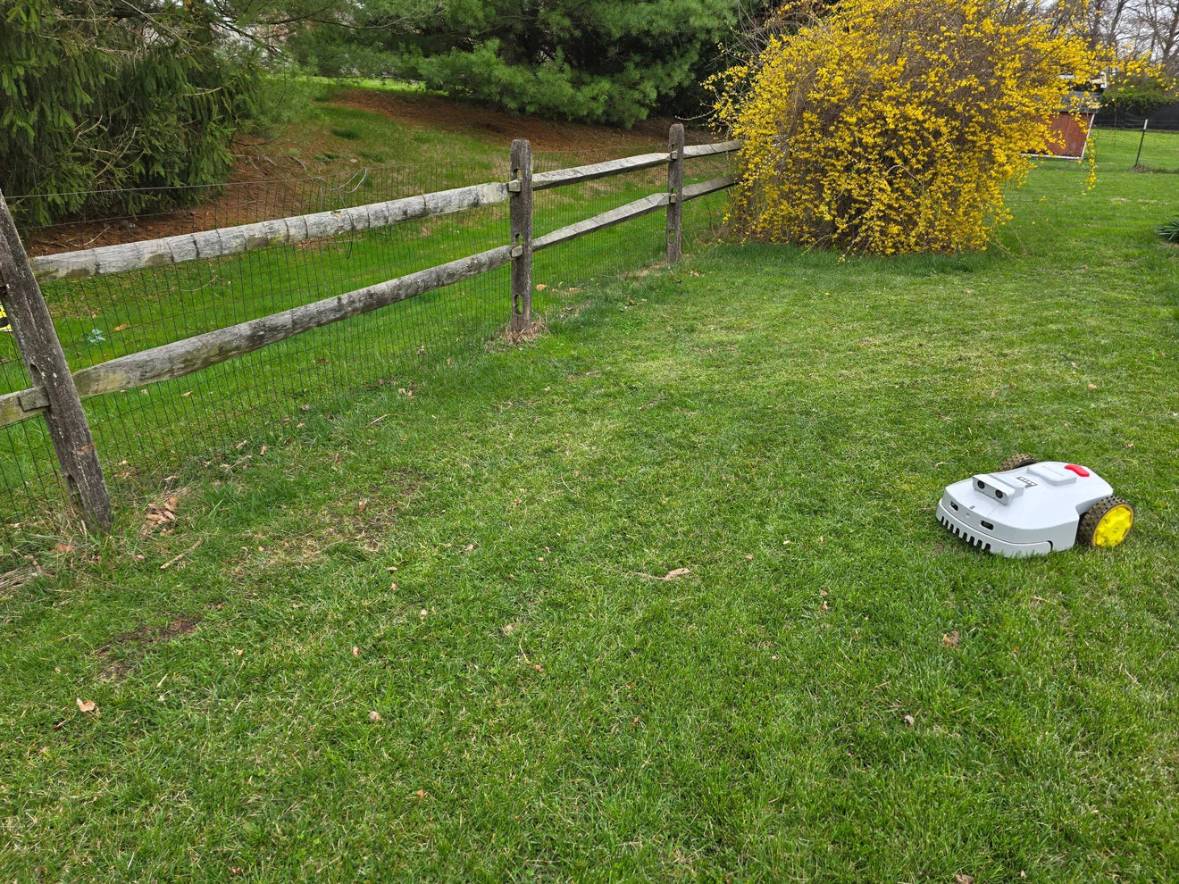 Choosing the Best Robot Mower for 5 Acres