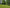 robot lawn mower works on a lawn
