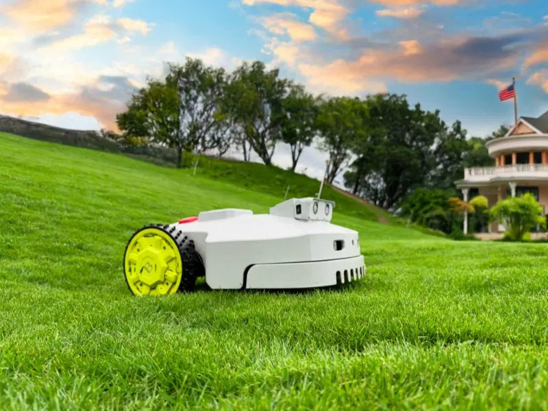 Eco-Friendly Mowing That Protects Your Garden